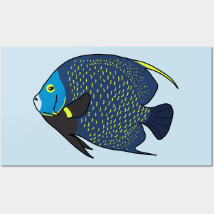 French Angelfish Posters and Art